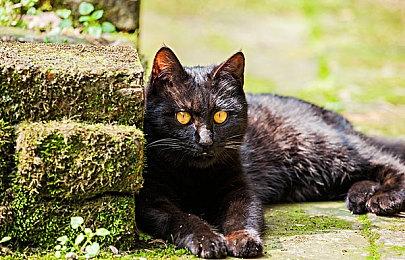 《绝地求生：New State》预告片泄露 11月11日全球上线